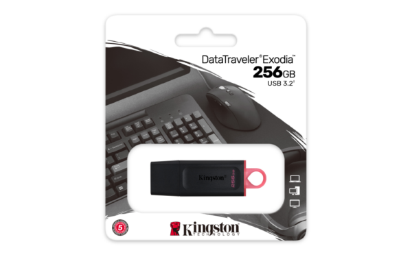 Pendrive Kingston Datatraveler Exodia 256gb Usb 3.2