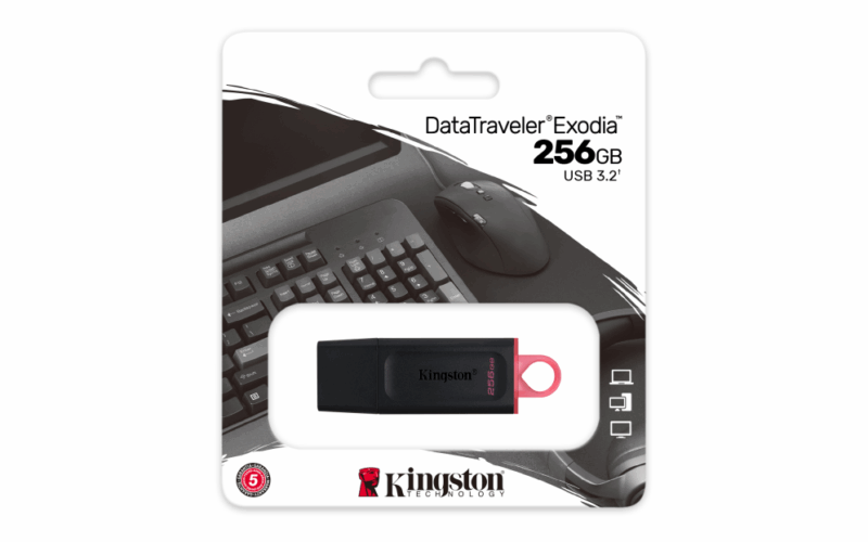Pendrive Kingston Datatraveler Exodia 256gb Usb 3.2